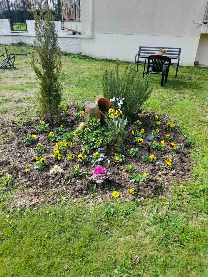 Garden Paradise in Megalochori 3